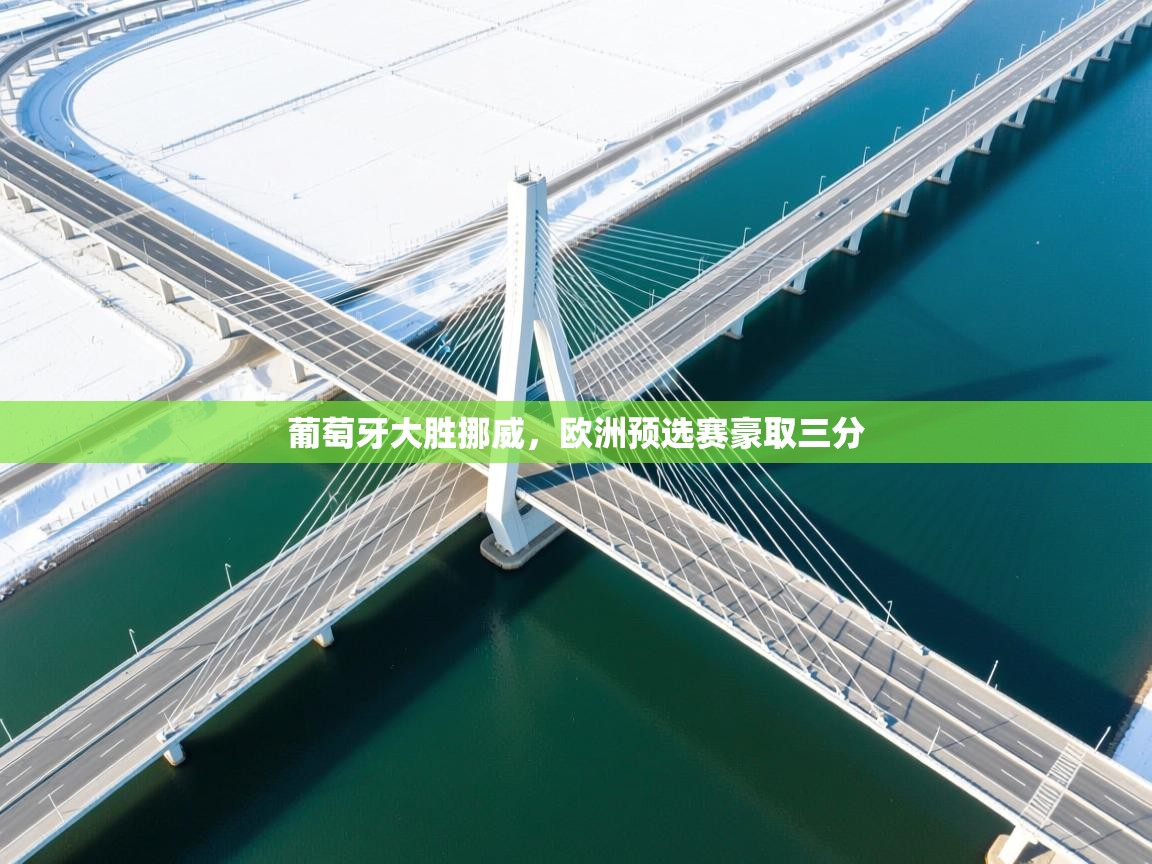 葡萄牙大胜挪威，欧洲预选赛豪取三分  第2张