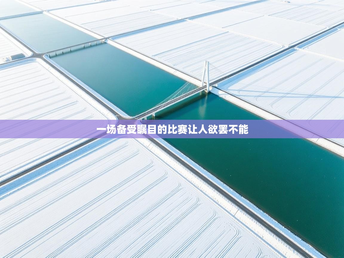 一场备受瞩目的比赛让人欲罢不能 第1张