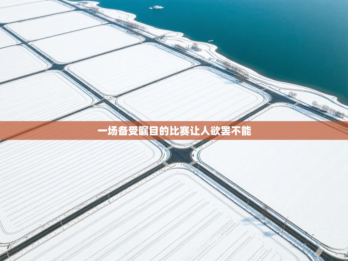 一场备受瞩目的比赛让人欲罢不能 第2张