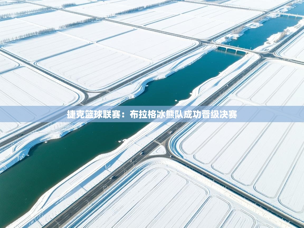 捷克篮球联赛：布拉格冰熊队成功晋级决赛  第2张