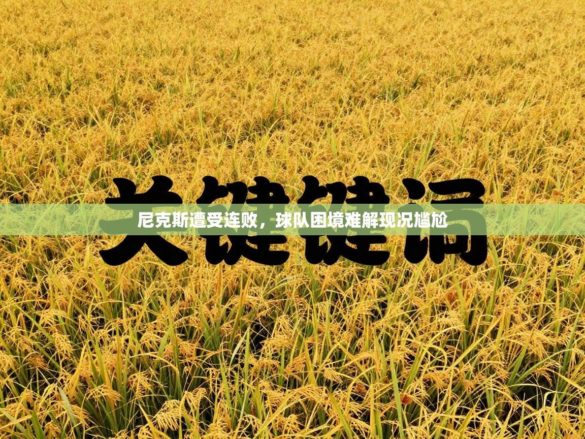 尼克斯遭受连败，球队困境难解现况尴尬  第2张
