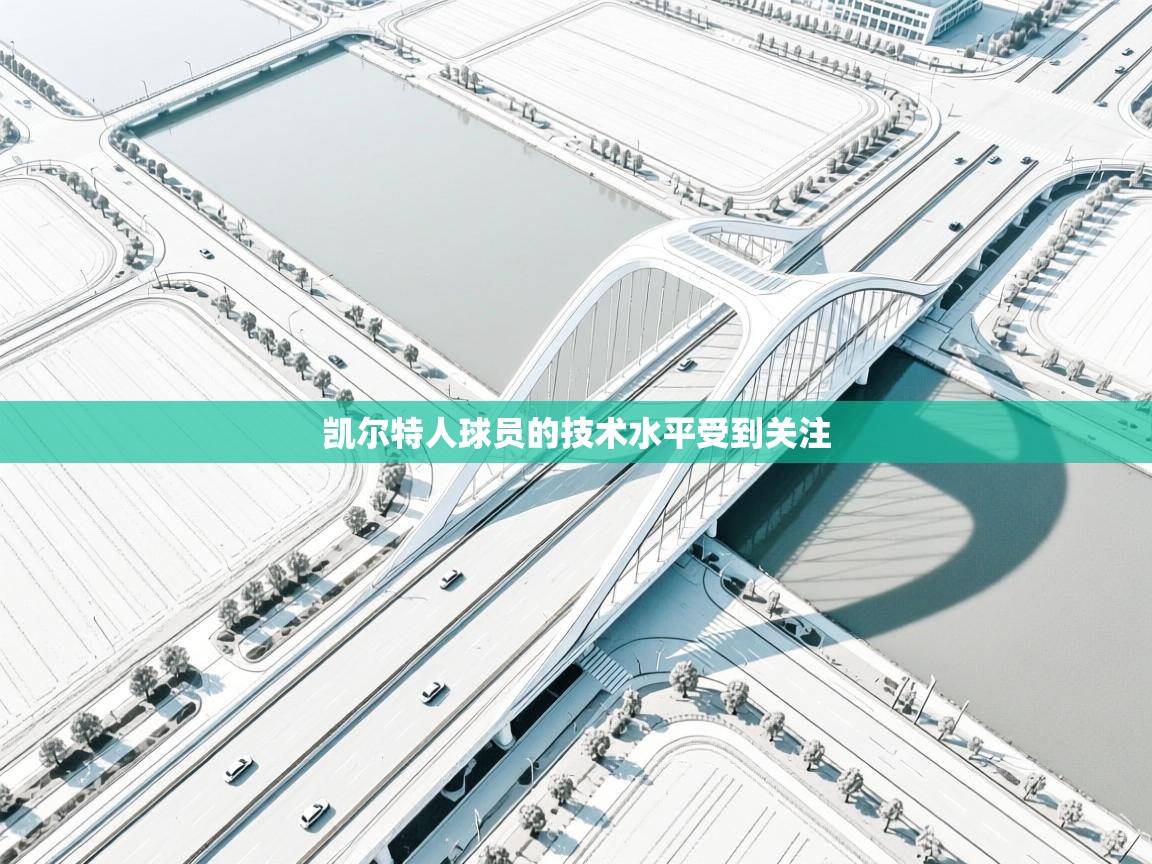 凯尔特人球员的技术水平受到关注 第1张