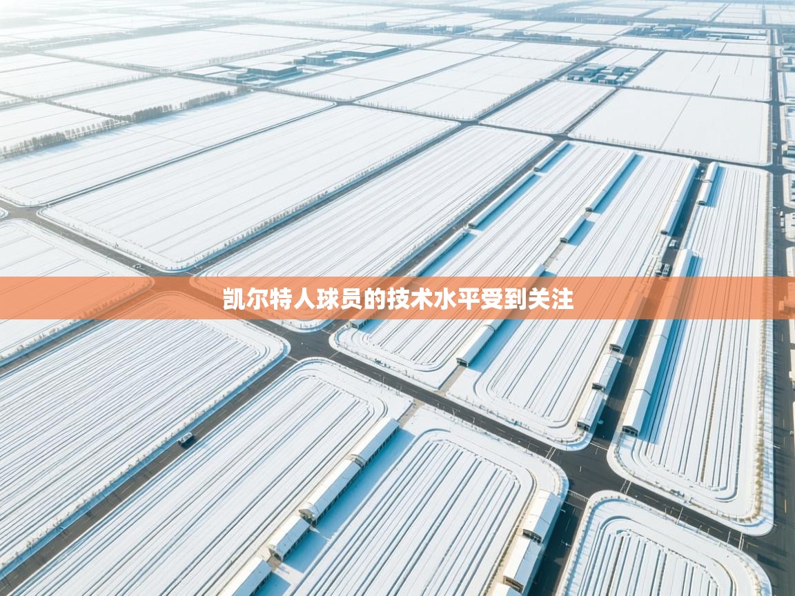 凯尔特人球员的技术水平受到关注 第2张