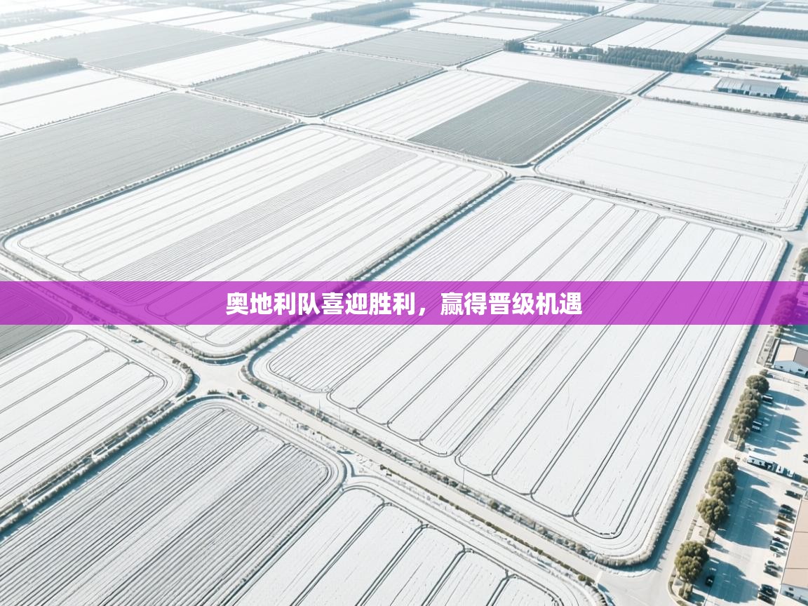 奥地利队喜迎胜利，赢得晋级机遇  第2张