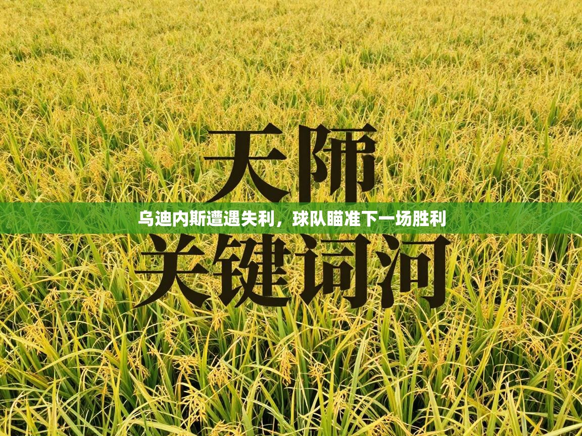 乌迪内斯遭遇失利，球队瞄准下一场胜利  第2张